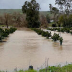 Inundaciones en Cádiz: instan a que la conexión del pantano de Bornos con Guadalcacín se ejecute «con máxima urgencia» para evitar catástrofes