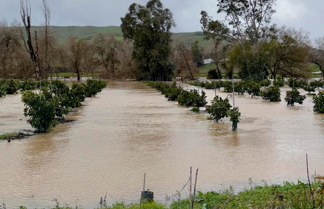 Inundaciones en Cádiz: instan a que la conexión del pantano de Bornos con Guadalcacín se ejecute «con máxima urgencia» para evitar catástrofes