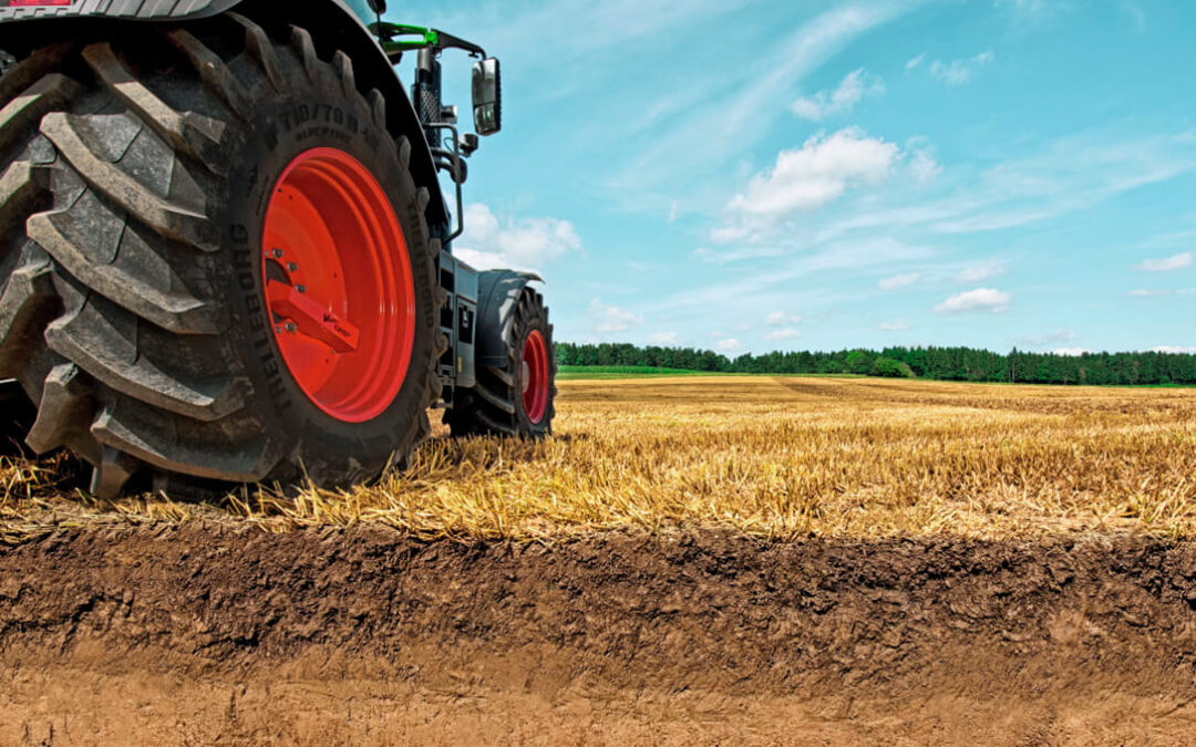 De la promesa a la realidad: las Administraciones concentran 8 millones de hectáreas de suelo rústico, pero sin un inventario público único y accesible