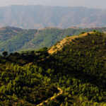 Ley de Montes: ponen en valor el trabajo de los agricultores y ganaderos como garantes de la protección y su buena gestión forestal