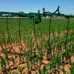 Entran en vigor los ‘aranceles al carbono’ del Pacto Verde, la medida que disparará el precio de los fertilizantes y que enfurece al sector agrario