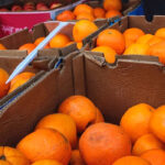 Los rechazos de importaciones de frutas y hortalizas con materias activas no autorizadas en la UE vuelven a aumentar un 6,5% en 2025