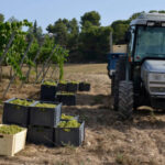 Solicitan la inclusión de más sectores agrarios en la orden que modifica los rendimientos del sistema de módulos de 2025