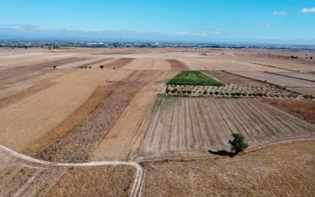 Exigen medidas para mejorar la competitividad de todos los agricultores y ganaderos situados en todas las zonas ZEPA