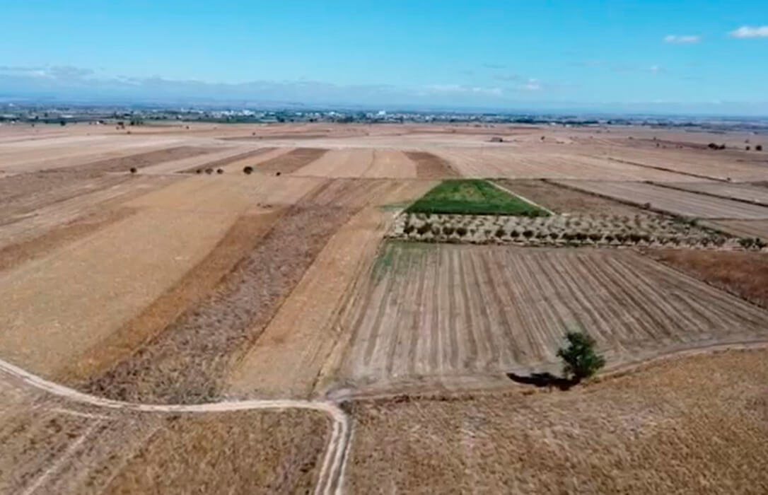Exigen medidas para mejorar la competitividad de todos los agricultores y ganaderos situados en todas las zonas ZEPA