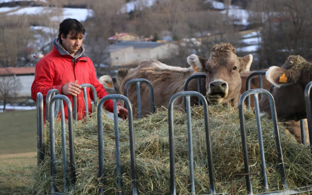 Relevo generacional en España: solo un 9% de los agricultores tiene menos de 41 años mientras que el 41,3% son mayores de 65 años