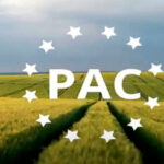 El Parlamento Europeo recoge la petición conjunta de las OPAS de CyL en defensa de una PAC que fortalezca la agricultura y el medio rural