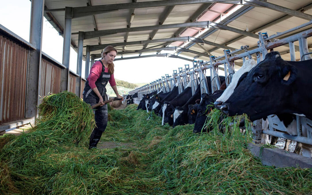 Relevo generacional: ven insuficientes las medidas anunciadas por Sánchez y dejan claro que sin rentabilidad no habrá incorporación de jóvenes