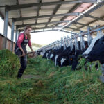 Relevo generacional: ven insuficientes las medidas anunciadas por Sánchez y dejan claro que sin rentabilidad no habrá incorporación de jóvenes