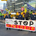 Llamamiento a los europarlamentarios para que voten a favor de la remisión del acuerdo UE–Mercosur a la Justicia de la UE para ganar tiempo