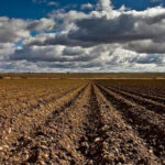 Entran en vigor las nuevas normas para flexibilizar los requisitos ambientales para cobrar las ayudas y el control de la PAC