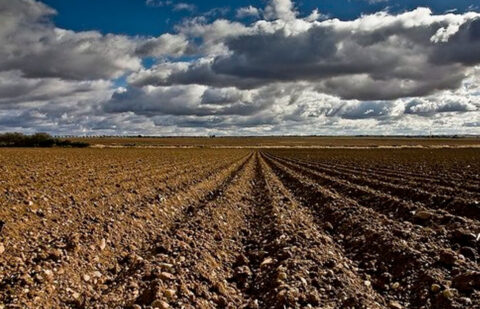 Entran en vigor las nuevas normas para flexibilizar los requisitos ambientales para cobrar las ayudas y el control de la PAC