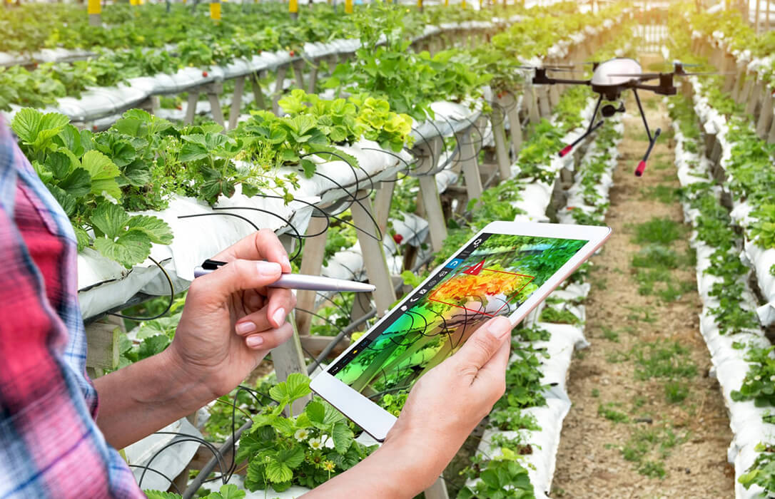 Más de 800 pymes agroalimentarias se benefician de los 346 servicios digitales de Andalucía Agrotech