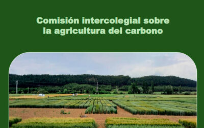 La agricultura española: un gran sumidero de carbono frente al cambio climático según un estudio de los ingenieros agrónomos