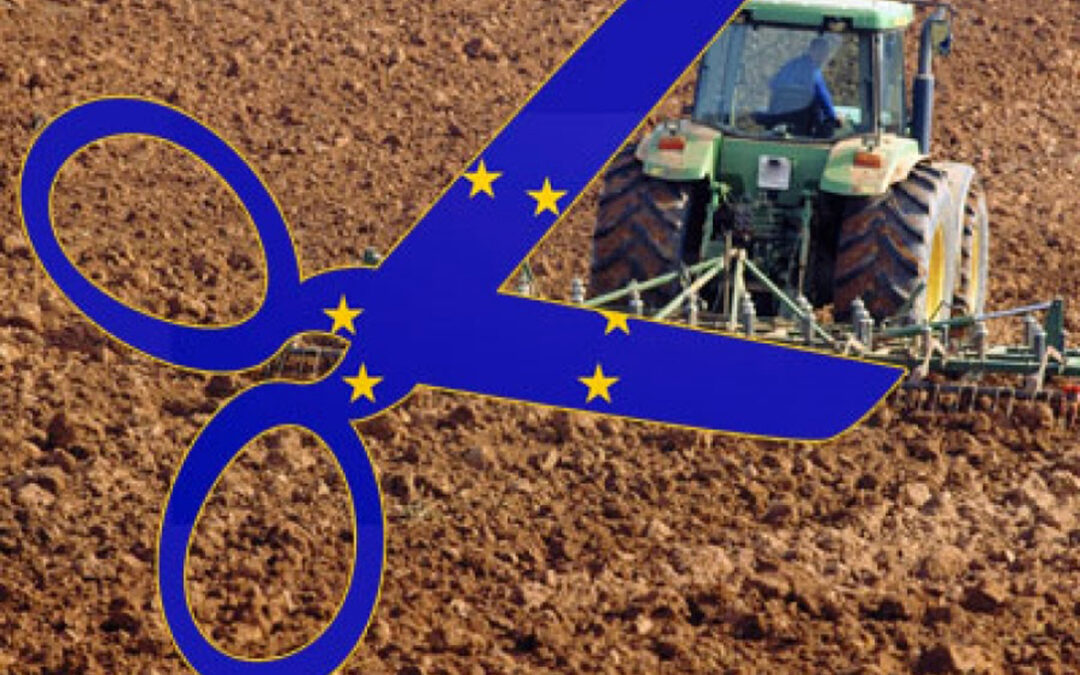 El Gobierno y el sector agrario mantienen su unidad de acción ante la reforma de la PAC con un presupuesto como mínimo como el actual