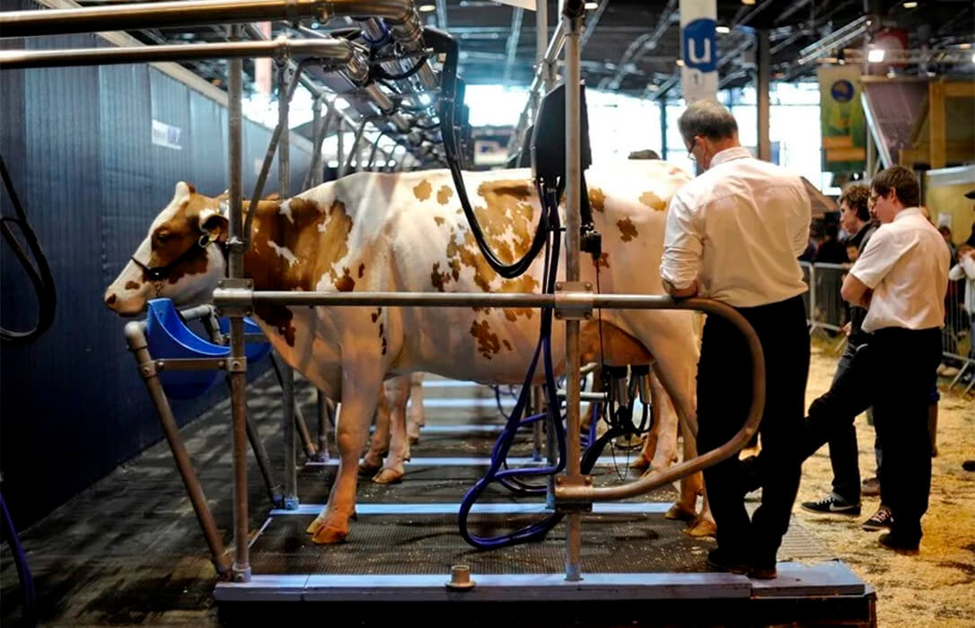 La Comisión Europea publica las nuevas zonas restringidas por la dermatosis en Francia para evitar su propagación en el país y en España