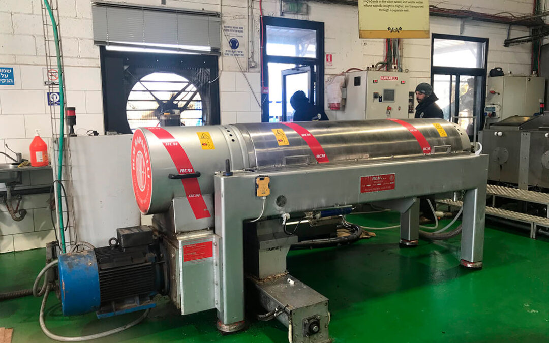 Un estudio destaca que en 5 años 85 almazaras molturarían el 40% de la aceituna producida entre España y Portugal y otras 200 desaparecerían