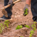 El Gobierno reducirá las peonadas para acceder al subsidio y a la renta agraria para ayudar a afectados por el temporal