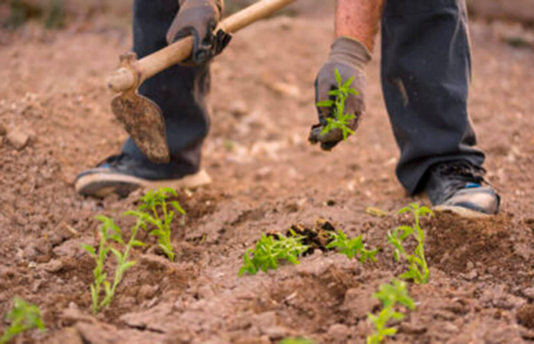 El Gobierno reducirá las peonadas para acceder al subsidio y a la renta agraria para ayudar a afectados por el temporal