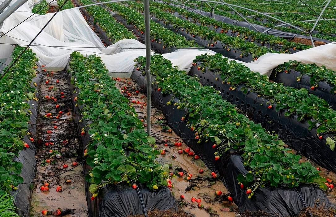 Andalucía anuncia que revisará su presupuesto de 2026 para priorizar medidas que ayuden a los afectados por las borrascas