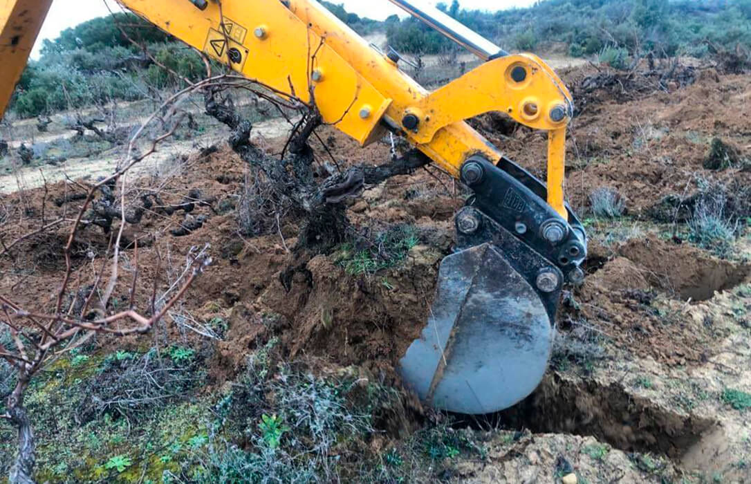 Mediación ante el Ministerio: exigen a Planas financiación del MAPA para la medida de arranque voluntario de viñedo