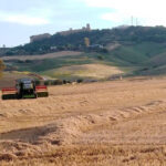 Lo que le faltaba: los auditores europeos alertan de que la arquitectura de la futura PAC puede retrasar la entrega de los fondos