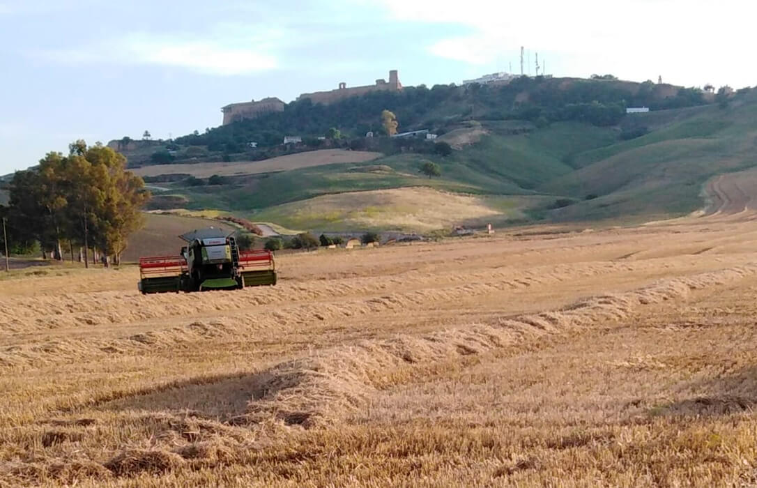 Lo que le faltaba: los auditores europeos alertan de que la arquitectura de la futura PAC puede retrasar la entrega de los fondos