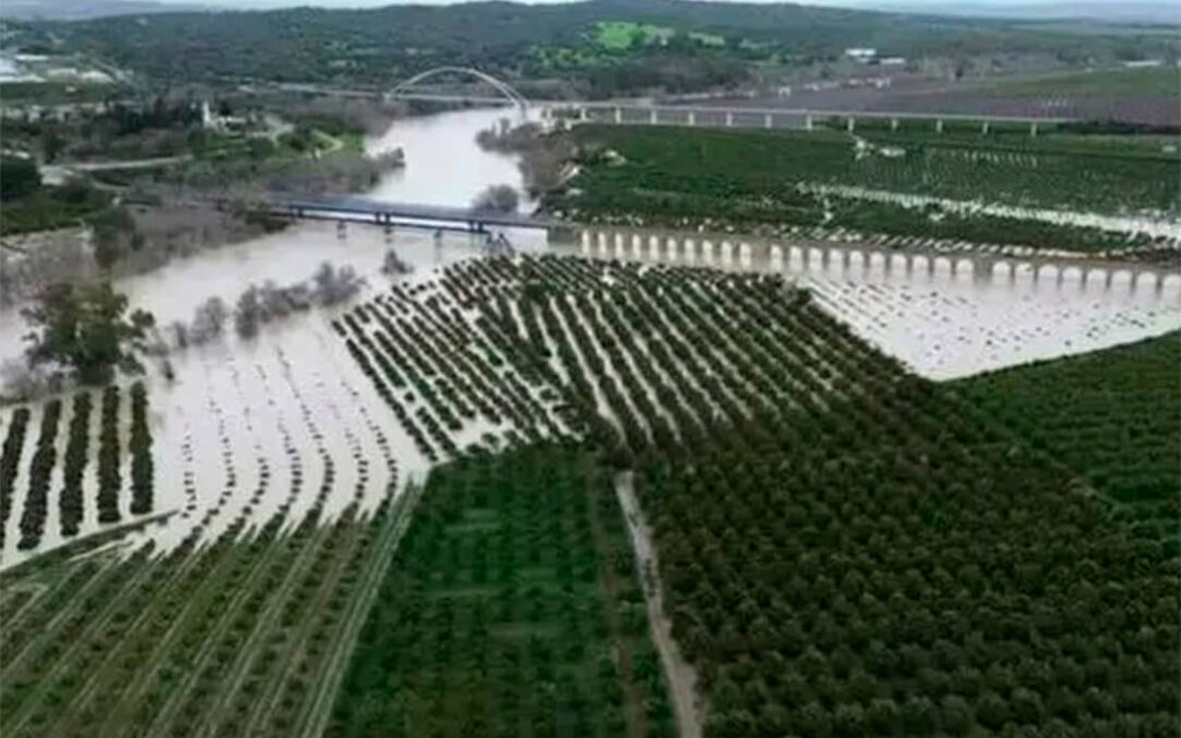 El Gobierno aprueba ayudas por 7.000 millones por las borrascas, de los cuales 2.100 son ayudas directas para titulares de explotaciones