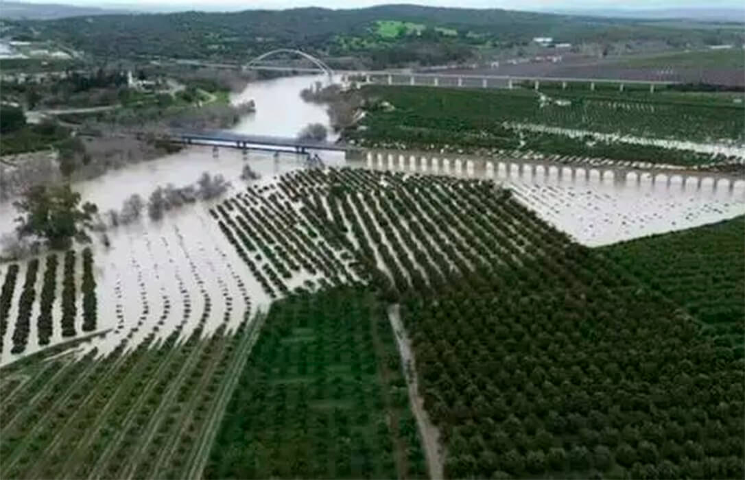 El Gobierno aprueba ayudas por 7.000 millones por las borrascas, de los cuales 2.100 son ayudas directas para titulares de explotaciones