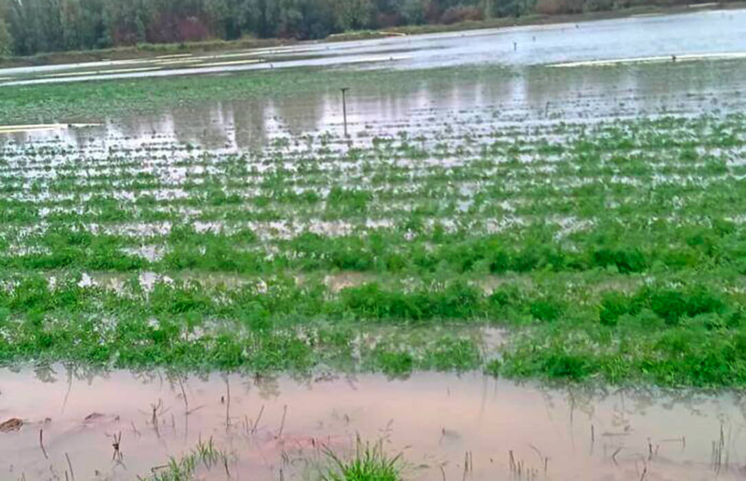Los jóvenes reclaman un reparto prioritario y proporcional a los daños reales de los fondos de recuperación del campo tras las borrascas