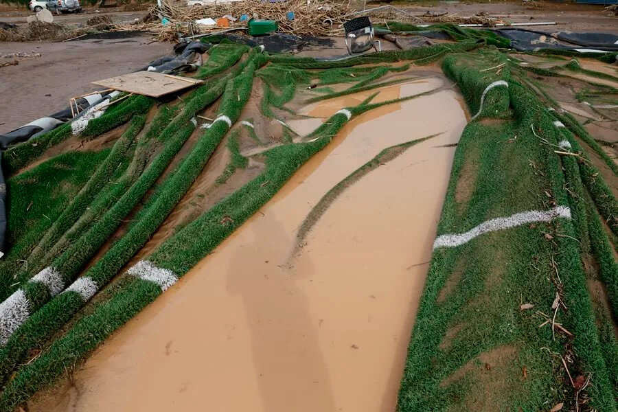 Cádiz cifra en 527 millones las pérdidas en todo el campo gaditano tras 3 borrascas consecutivas y pide la declaración de zona catastrófica