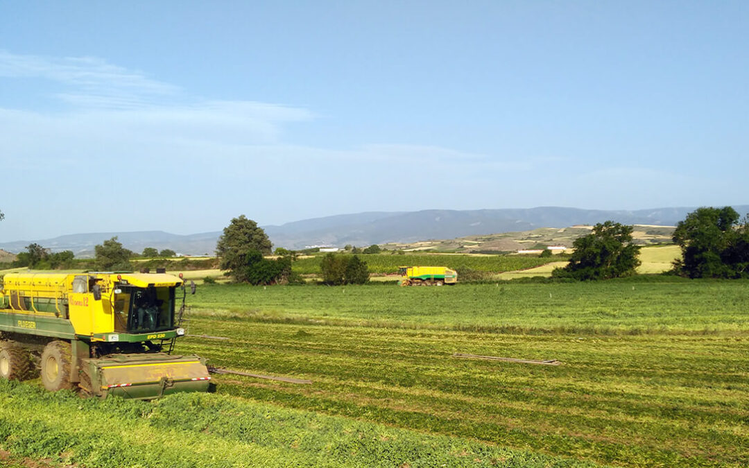 Solicitan la declaración de ‘campaña agrícola excepcional’ en zonas de La Rioja por exceso de lluvias y flexibilizar requisitos de la PAC