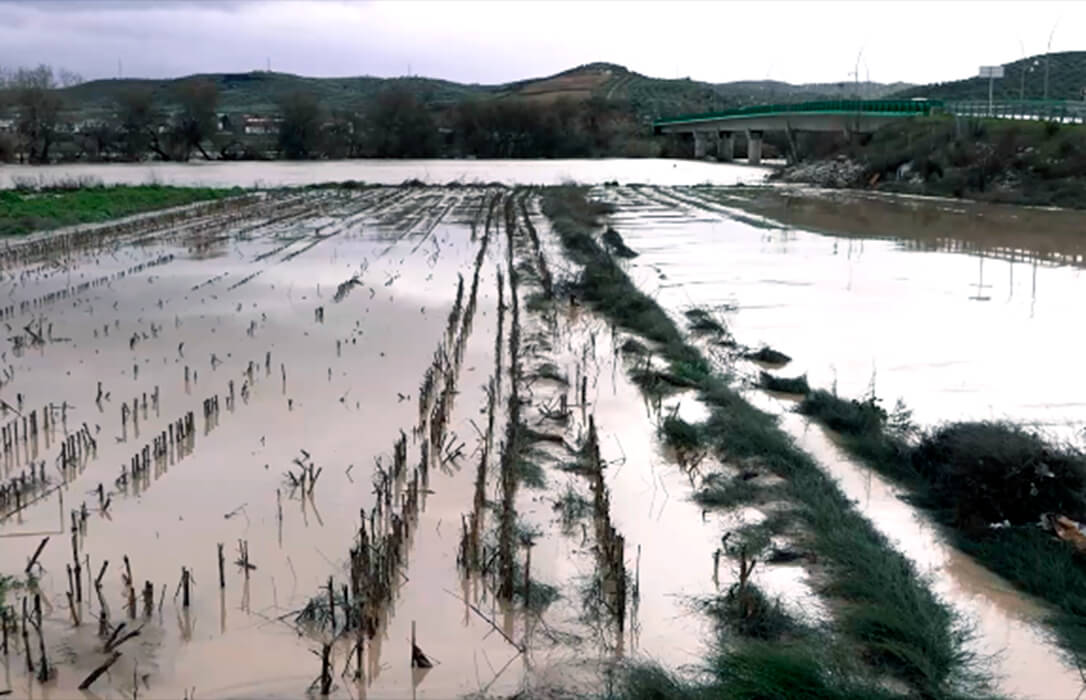 Andalucía solicitará la declaración de catástrofe natural, activar la reserva de crisis de la PAC y el Fondo de Compensación para las ayudas