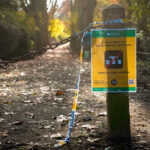 El Comité de científicos ve prematuro determinar el origen de la peste porcina en Cataluña pero apunta a 4 escenarios que no aclaran ninguna duda