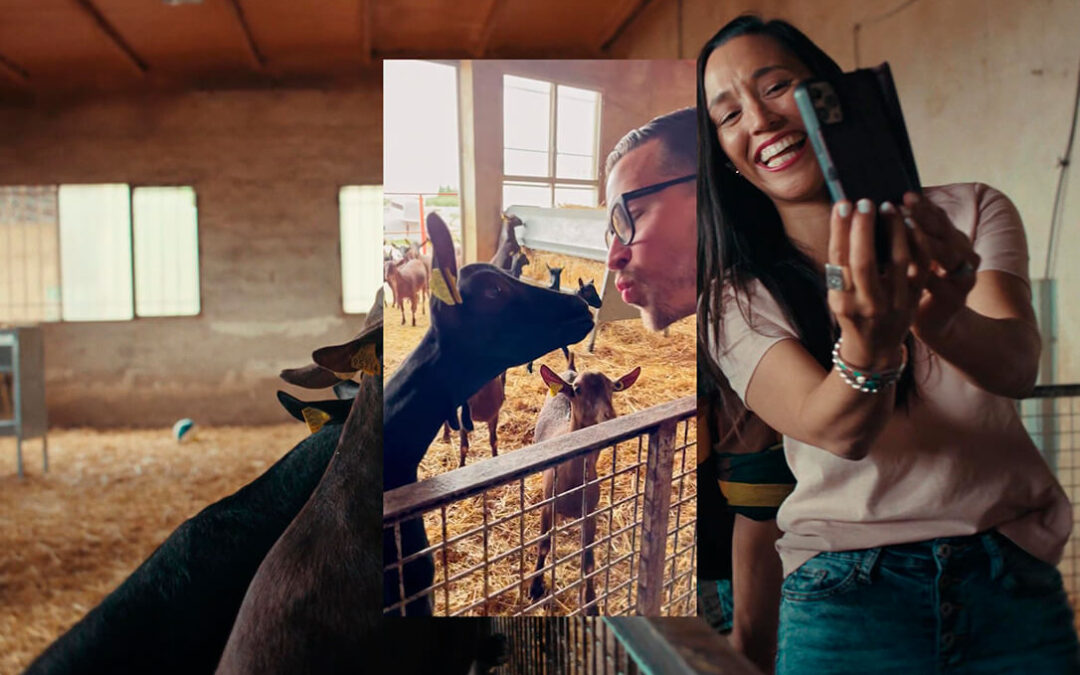 La Comisión Europea avala la estrategia de promoción del queso español en EE. UU. tras un crecimiento del 34% en exportaciones