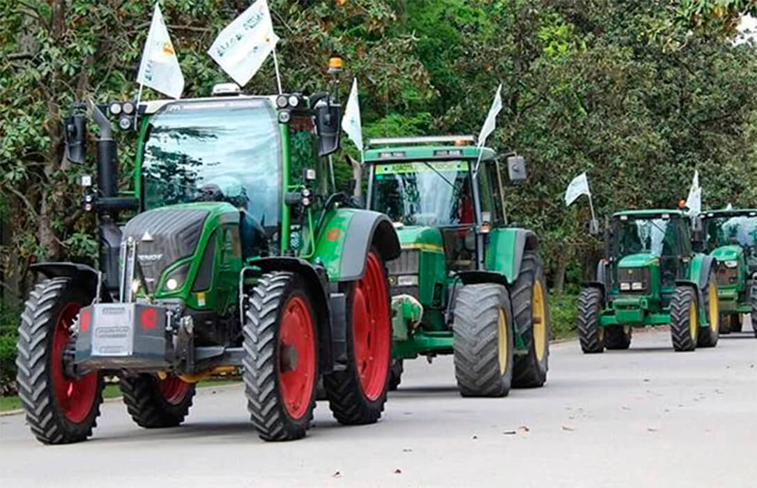 El campo se desangra: La rebelión de la ‘verdad’ frente a la tiranía del despacho
