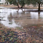 El temporal Kristin sigue dejando daños a su paso y en Ciudad Real ya se valora las pérdidas en instalaciones agropecuarias y cultivos