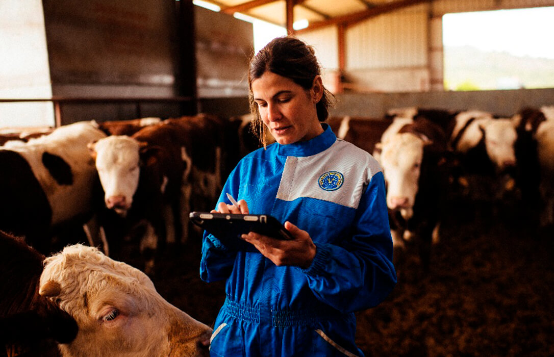 Provacuno lanzará una app para medir la huella de carbono del vacuno de carne en España y las emisiones de gases de efecto invernadero