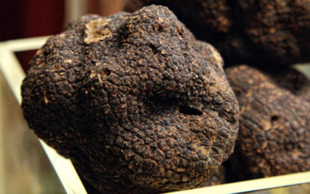 Reclaman un cambio legislativo para que no se etiquete como trufa negra aquellos productos que no tienen o están elaborados con aromatizantes