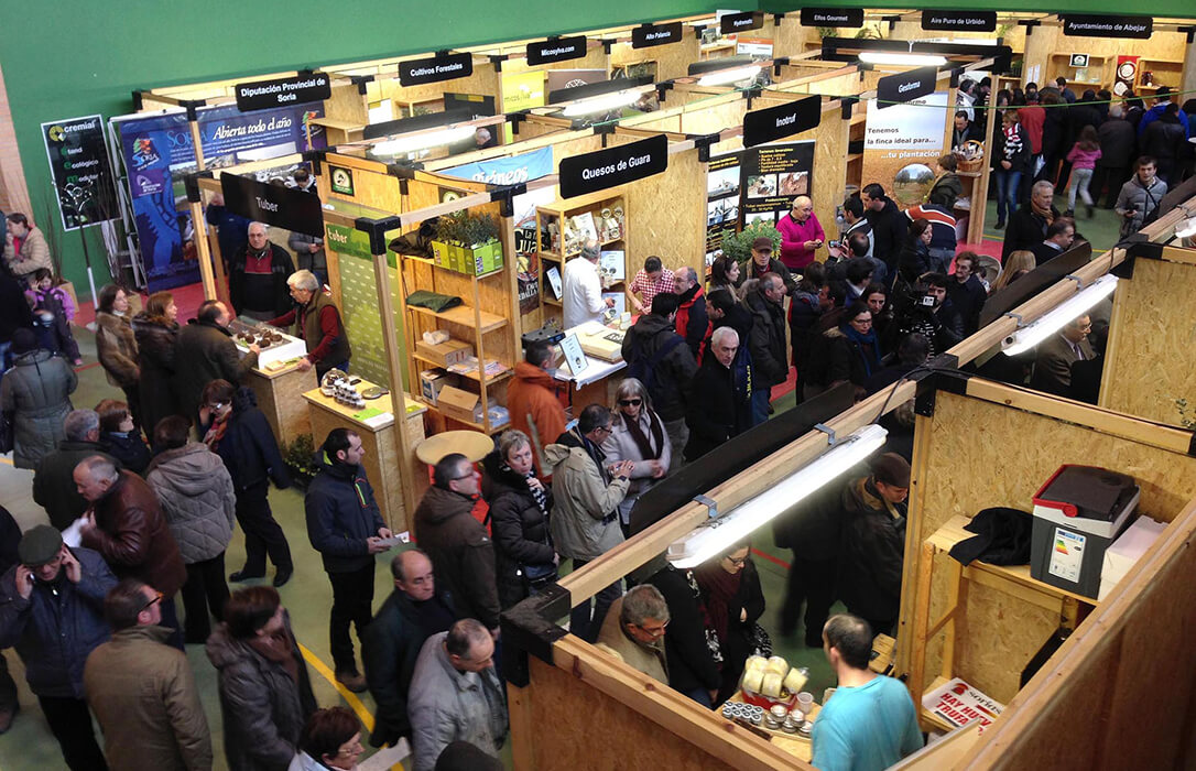 Llega la Feria por excelencia de la Trufa Negra: Soria estrenará una subasta de trufa fresca y refuerza su proyección internacional