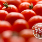 Bruselas reconoce el agujero negro: las importaciones de tomate marroquí desaparecen de las estadísticas mientras llegan con total normalidad