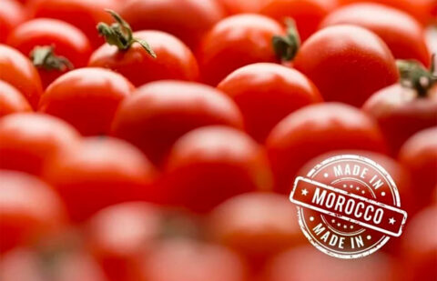 Bruselas reconoce el agujero negro: las importaciones de tomate marroquí desaparecen de las estadísticas mientras llegan con total normalidad