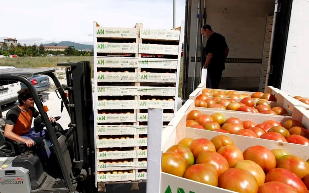 El sector del tomate, en pie de guerra contra la Comisión Europea ante la desaparición de los datos de las importaciones marroquíes