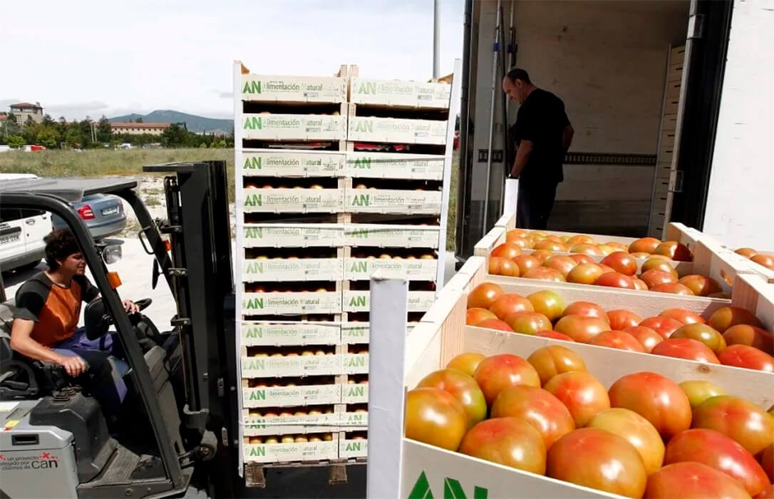 El sector del tomate, en pie de guerra contra la Comisión Europea ante la desaparición de los datos de las importaciones marroquíes