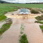 Un informe USDA plano no modifica el rumbo en el precio de unos cereales que miran a la próxima campaña con miedo por los daños de los temporales