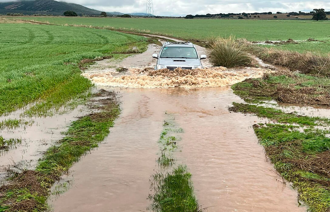 Un informe USDA plano no modifica el rumbo en el precio de unos cereales que miran a la próxima campaña con miedo por los daños de los temporales