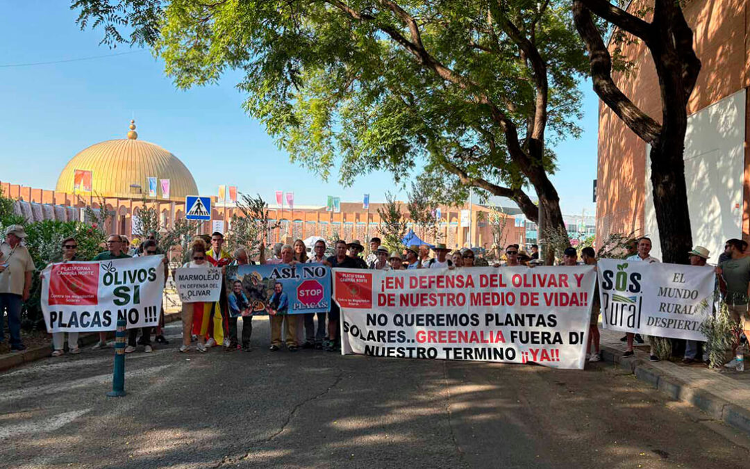 El Tribunal de Instancia confirma que los proyectos fotovoltaicos de Lopera presentan irregularidades graves “idénticas” a otros anulados