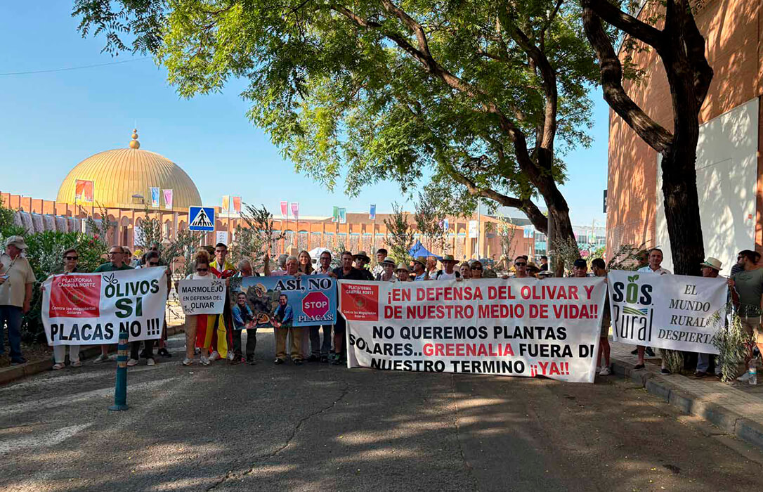 El Tribunal de Instancia confirma que los proyectos fotovoltaicos de Lopera presentan irregularidades graves “idénticas” a otros anulados