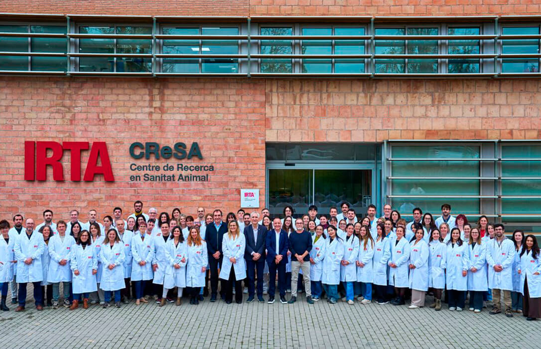 El IRTA-CReSA, satisfecho de la confirmación de que no es el origen del brote de peste porcina: ninguna de las cepas con las que trabaja coincide con la que infectó los jabalíes