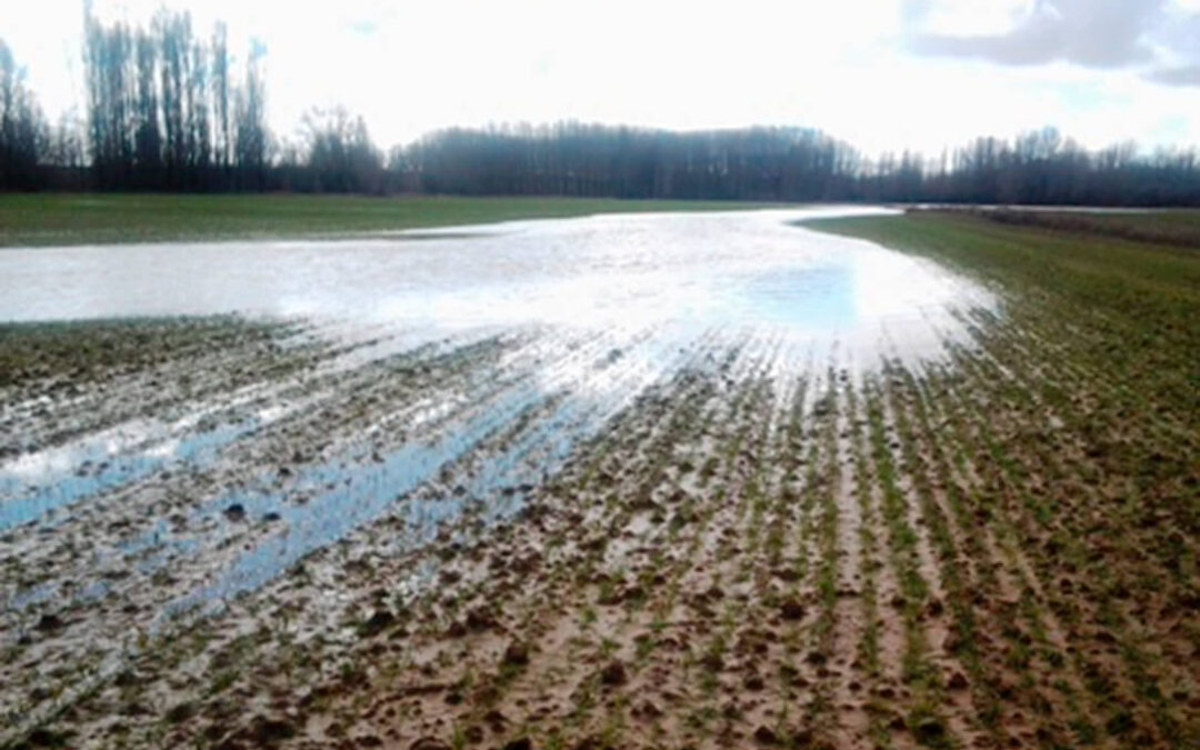 La lluvia frena las decisiones